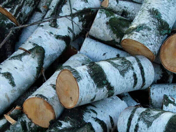«Чурки» березовые